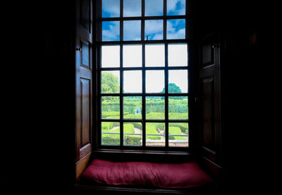 Trees seen through home window