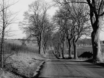 Road amidst bare trees against sky