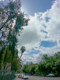 Scenic view of trees against cloudy sky