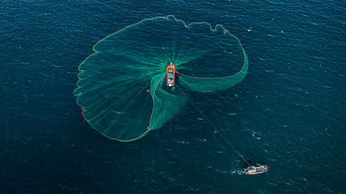 High angle view of insect on sea