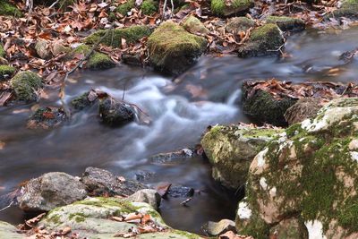 High angle view of stream flowing in autumn