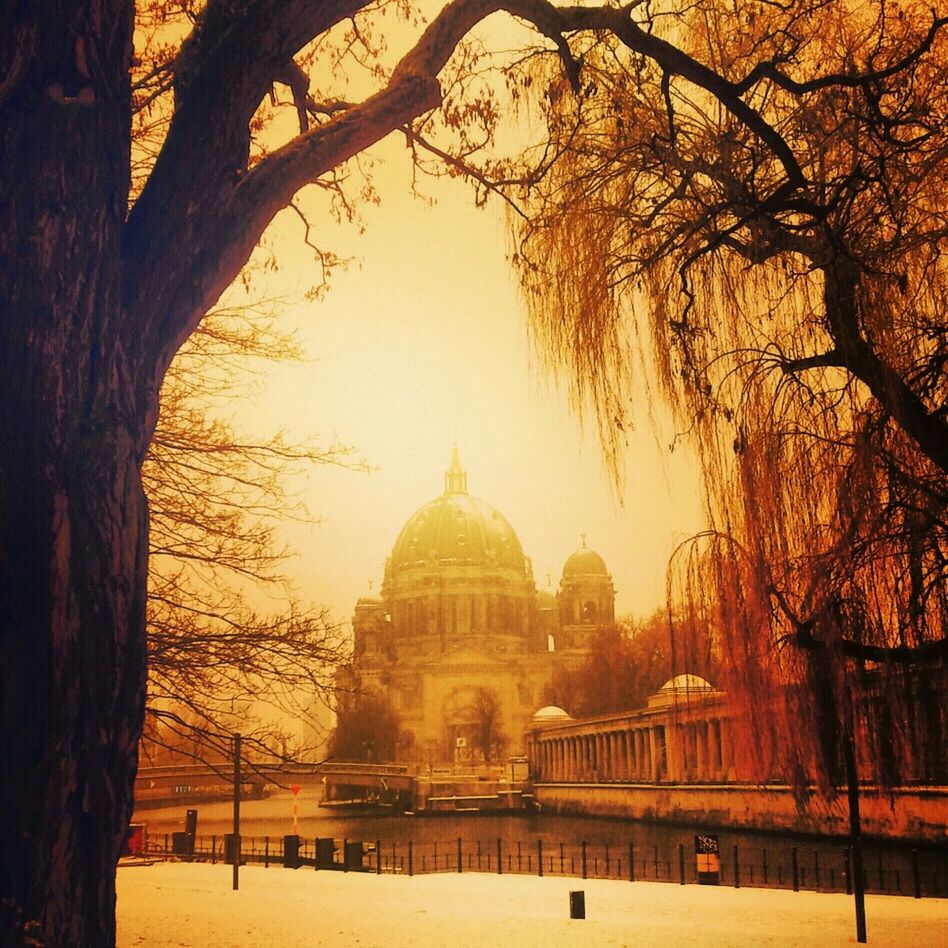 architecture, built structure, building exterior, place of worship, religion, spirituality, tree, famous place, dome, travel destinations, tourism, church, travel, international landmark, bare tree, cathedral, incidental people, history