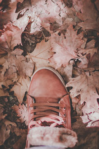 Full frame shot of pink petals