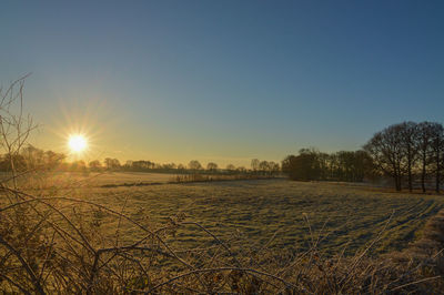 Scenic view of field against clear sky during sunset