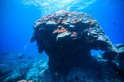 High angle view of man swimming in sea