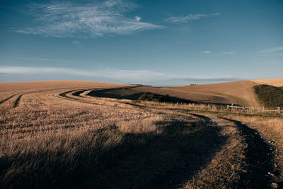 Scenic view of agricultural field against sky