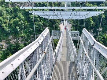 Footbridge amidst trees