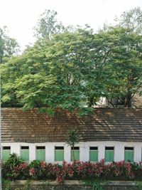 View of built structure against trees