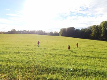 Scenic view of grassy field against sky