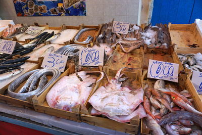 Close-up of fish for sale in market