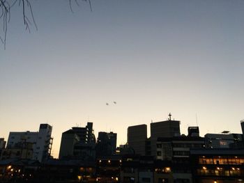 Silhouette of bird flying over city