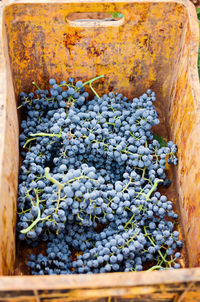 High angle view of grape in crate