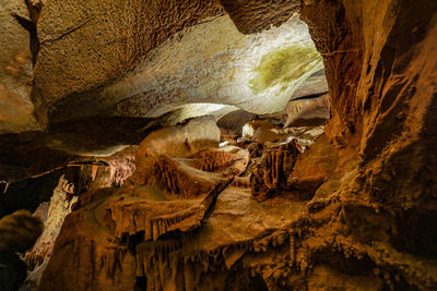 Close-up of giraffe in cave