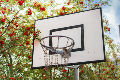 View of basketball hoop in front of wall