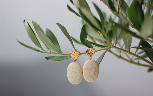 Close-up of fresh green leaves against white background