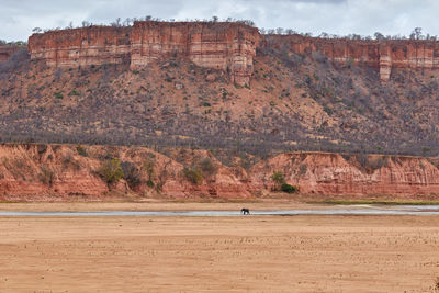 The iconic chilojo cliffs in gonarezhou national park