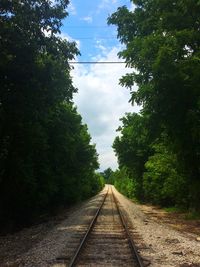 Railway tracks amidst trees against sky