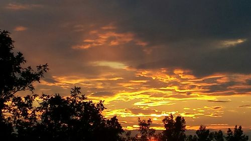 Low angle view of silhouette trees against sky during sunset