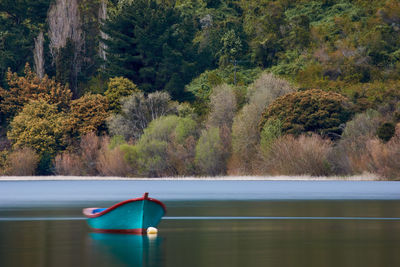 Scenic view of lake by trees in forest