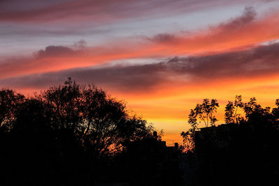 Low angle view of silhouette trees against sky during sunset