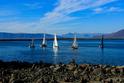 Sailboats in sea against sky