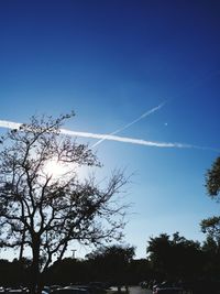 Low angle view of silhouette trees against blue sky