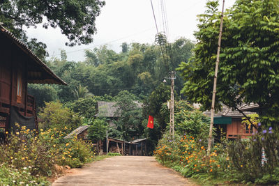 Footpath amidst trees and houses against sky