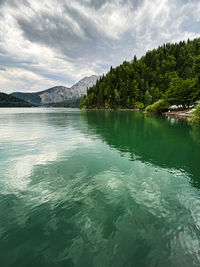 Scenic view of lake by trees against sky