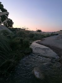Scenic view of field against clear sky during sunset