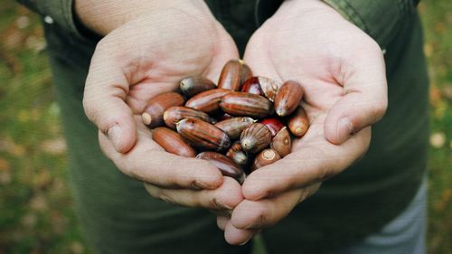 Close-up of man holding food