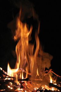 Close-up of bonfire at night