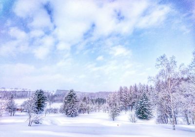 Snow covered trees against sky