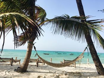 Palm trees on beach against clear sky