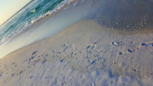 Scenic view of beach