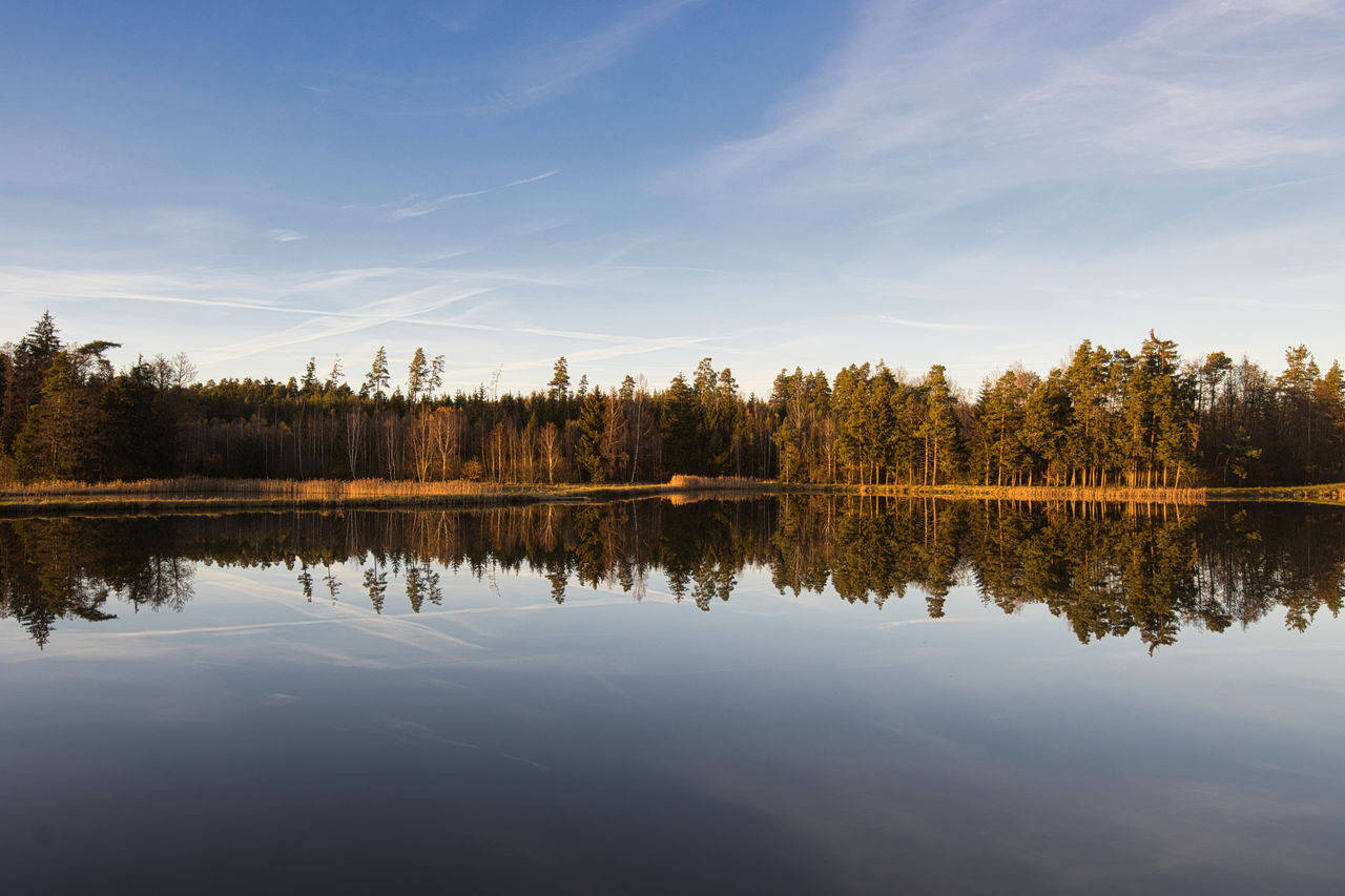 reflection, water, nature, sky, morning, lake, tree, tranquility, beauty in nature, scenics - nature, tranquil scene, plant, dawn, cloud, autumn, landscape, no people, environment, body of water, forest, non-urban scene, sunrise, outdoors, sunlight, idyllic, reservoir, land, travel destinations, blue, shore, horizon, reflection lake, wilderness, day, sun