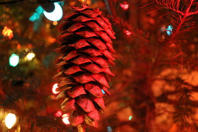 Close-up of illuminated christmas tree at night