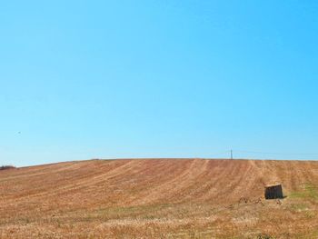 Scenic view of field against clear blue sky