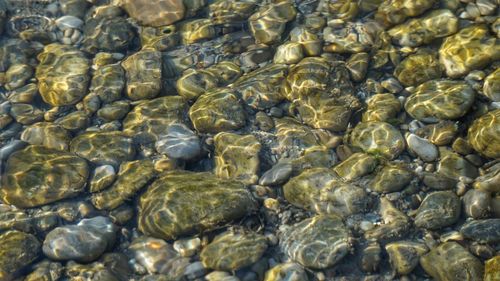 High angle view of pebbles in sea