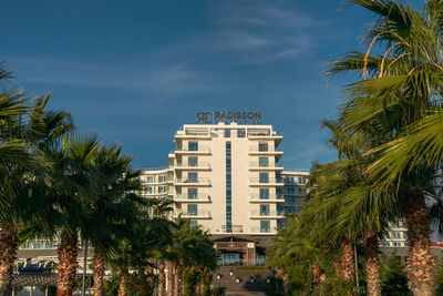 Palm trees and buildings against sky