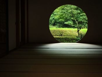 View of trees seen through window