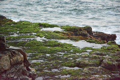 Rocks in sea