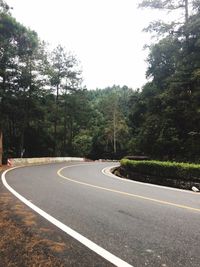 Road passing through forest