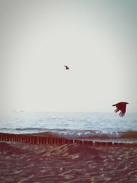 Sailboat flying over sea