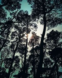 Low angle view of silhouette trees in forest