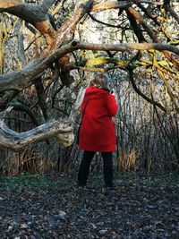 Rear view of woman standing by tree in forest