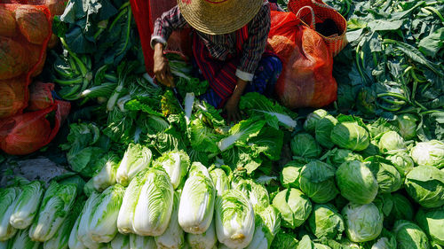 Variety of fruits for sale