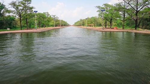 Scenic view of river in forest against sky