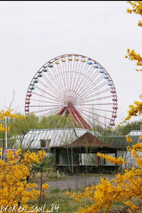 built structure, architecture, ferris wheel, building exterior, amusement park, circle, tree, amusement park ride, arts culture and entertainment, sky, outdoors, clear sky, day, low angle view, no people, yellow, metal, connection, multi colored, water