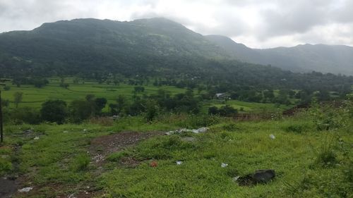 Scenic view of field and mountains against sky