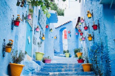 Close-up of multi colored wall